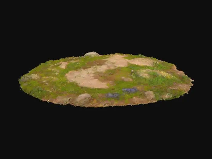 3D model for Meadow Oasis