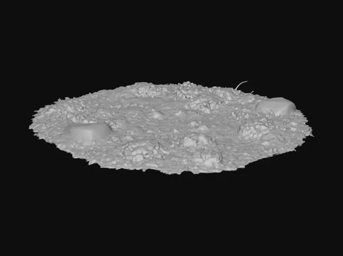 3D model for Pathway Blooms