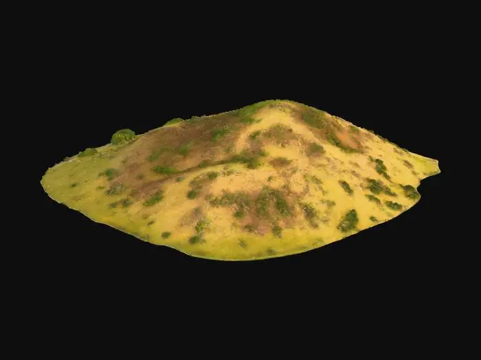 3D model for Desert Oasis Hill