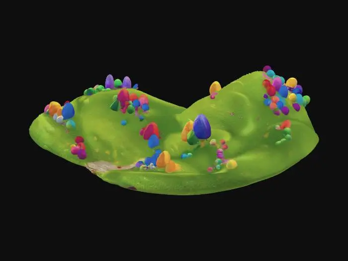 3D model for Kaleidoscope Hill