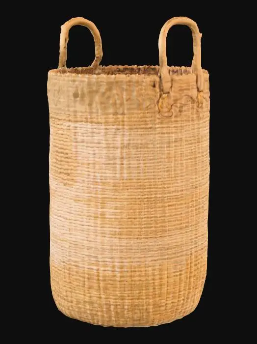 3D model for Screenshot 2025-10-13 at 2.34.24 PM.png