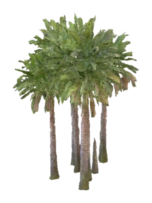 Tropical Quartet - Rhythm 3D model, vytvořený pomocí AI