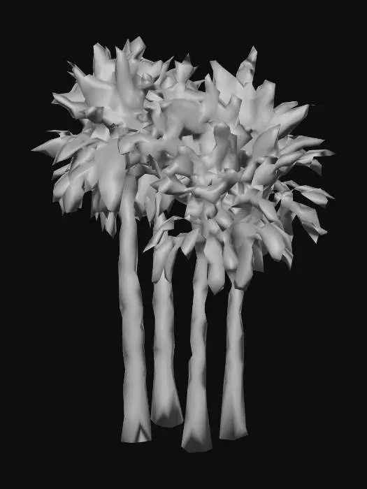 3D model for Tropical Quartet