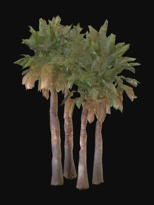 3D model for Tropical Quartet