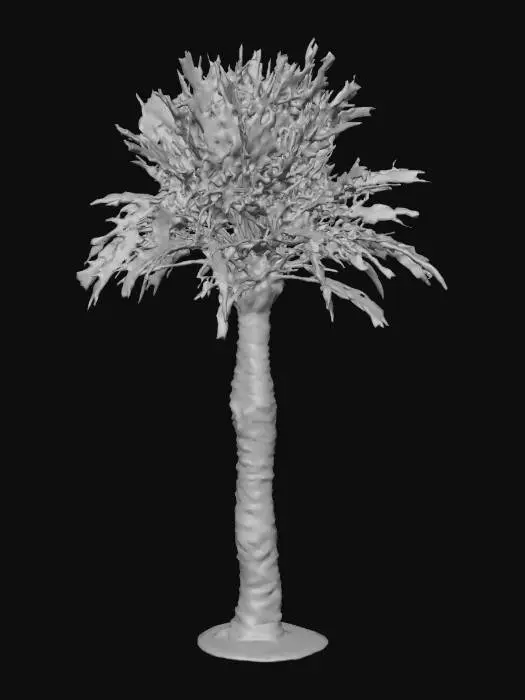 3D model for Solitary Palm