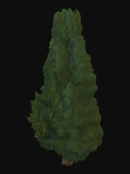 3D model for Evergreen Tower