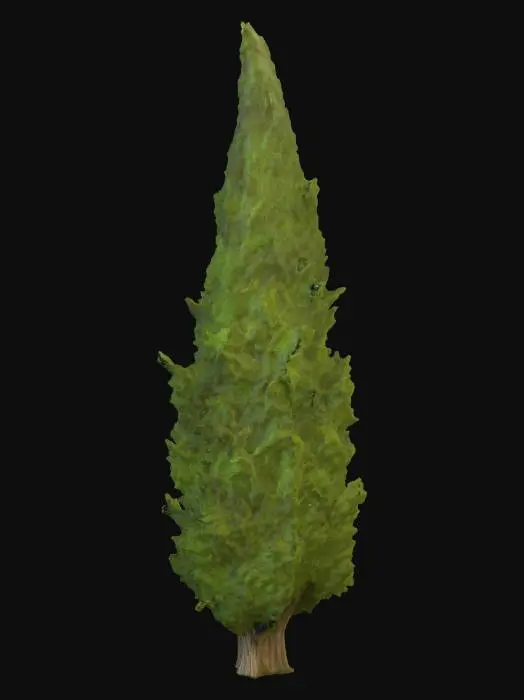 3D model for Evergreen Tower