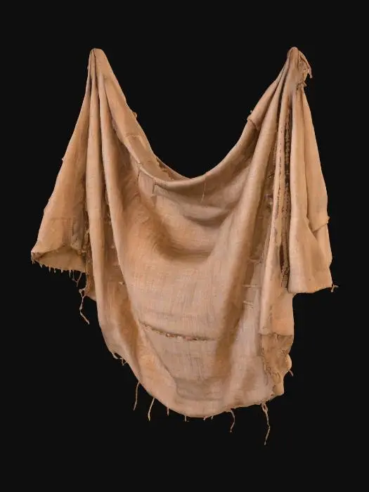 3D model for gemini-2.5-flash-image_create_primitive_8_foot_loomed_brown_cloth_that_large_and_long_that_hung_ffrom_t-2.jpg