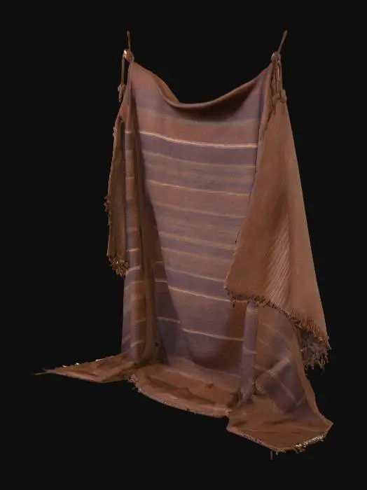 3D model for gemini-2.5-flash-image_create_primitive_8_foot_loomed_brown_cloth_drape_that_large_and_long_that_hung_f-0.jpg