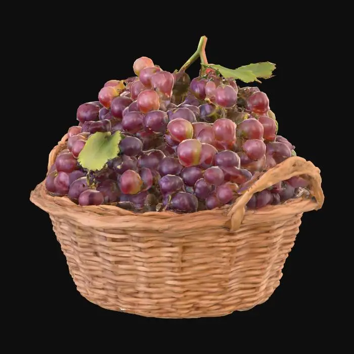3D model for Grapes Galore