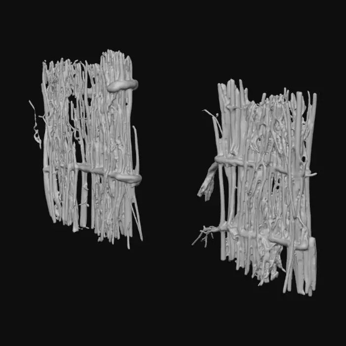 3D model for Screenshot 2025-11-04 at 6.35.44 PM.png