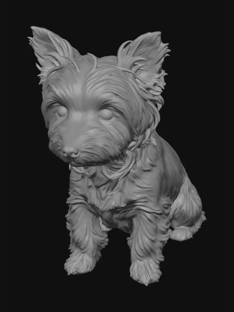 terrier