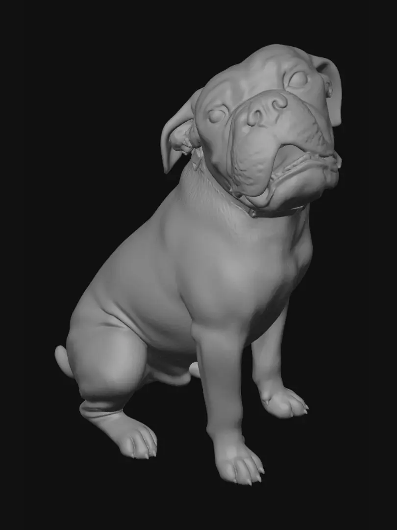 bulldog