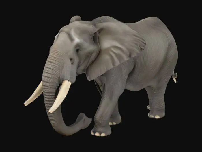 3D model for elaphant with big tusks