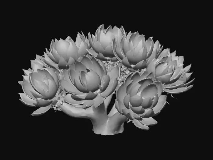 3D model for Desert Resilience