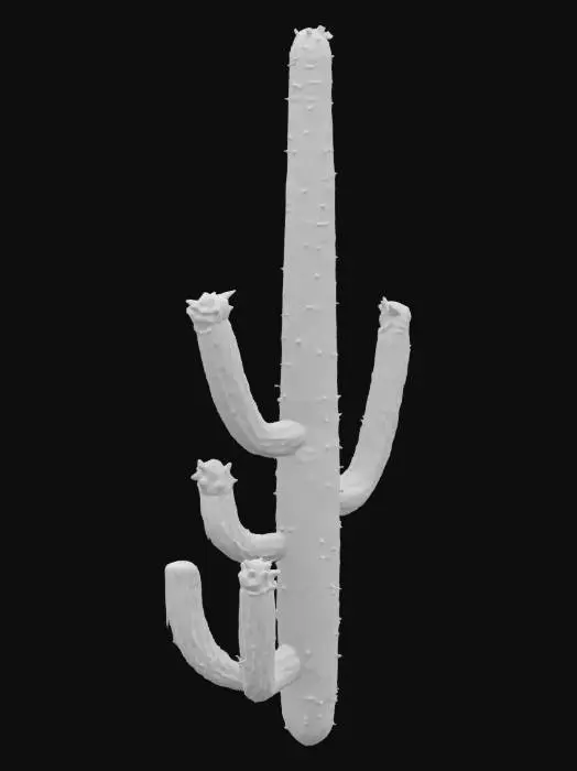 3D model for desert cactus