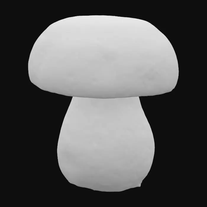 3D model for  Boletus mushroom