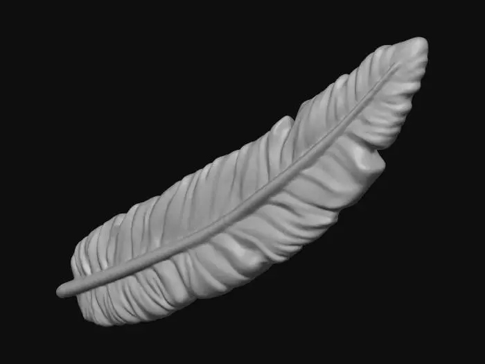 3D model for Feather Sculpture