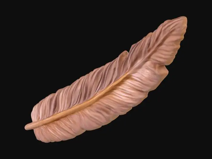 3D model for Feather Sculpture