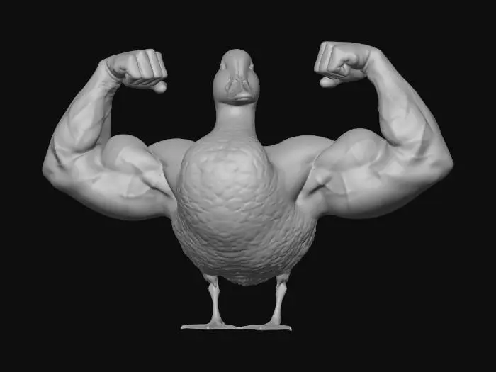 3D model for Muscul Duck