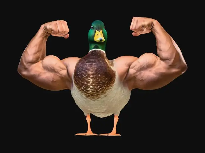3D model for Muscul Duck