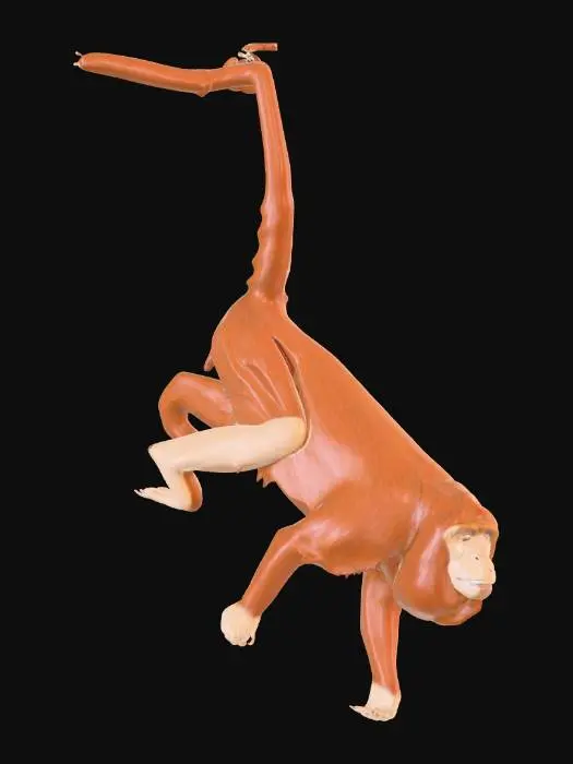 3D model for Орангутанг_трипо