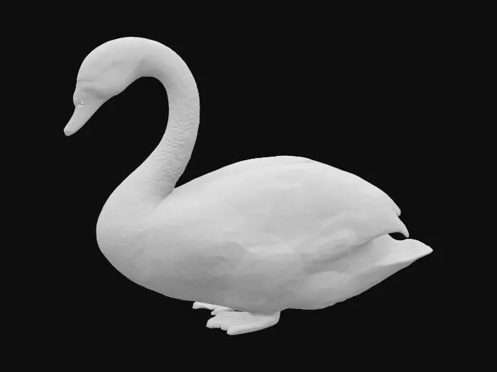 3D model for white swan