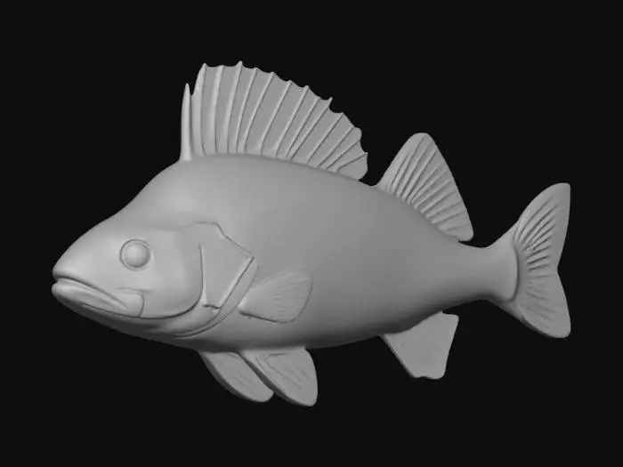 3D model for Bass