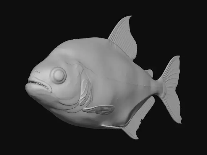 3D model for Spotted Piranha (Pristobrycon Maculipinnis)