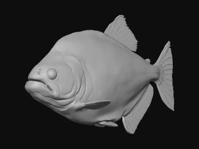 3D model for Marble Piranha (Marble Rhombeus)