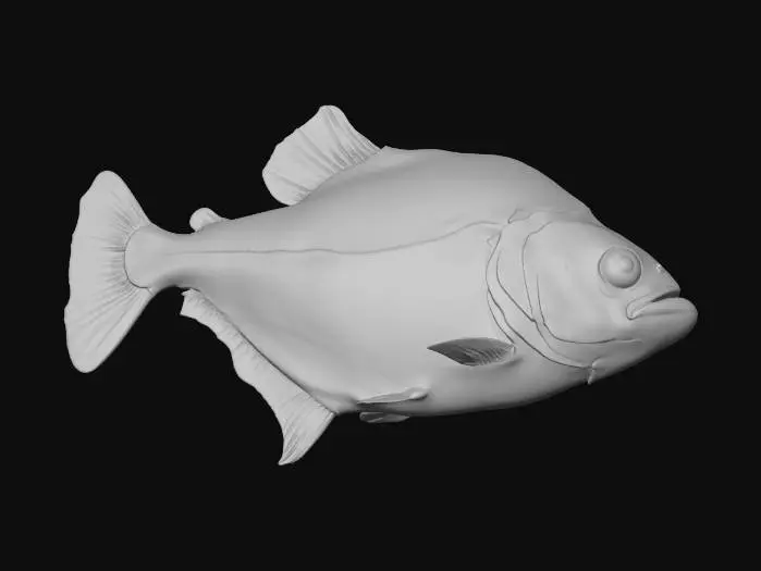 3D model for Violet Line Piranha (Serrasalmus Geryi)