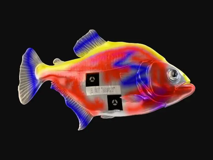 3D model for Violet Line Piranha (Serrasalmus Geryi)
