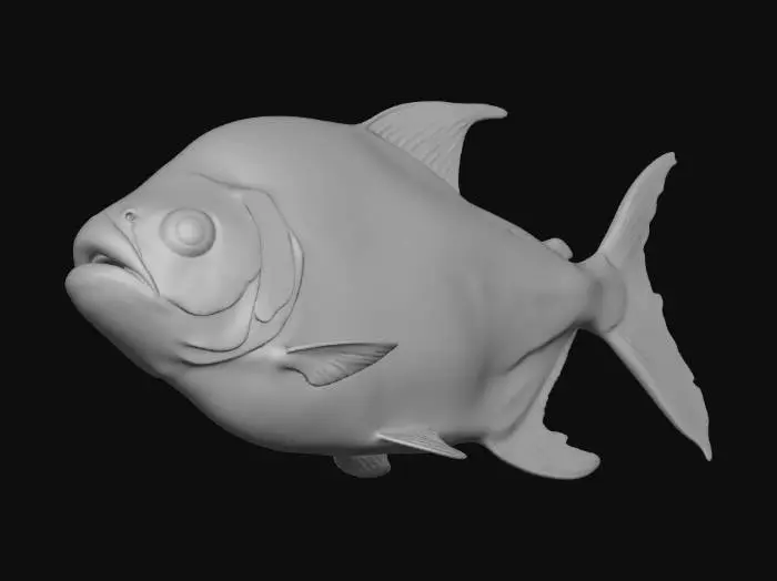 3D model for Piaractus Brachypomus