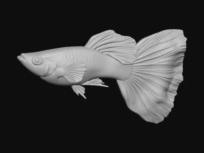 3D model for Red Cobra Guppy