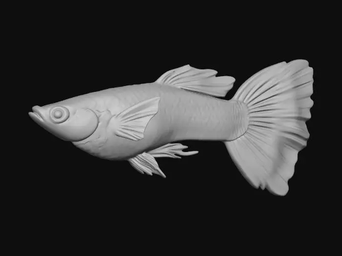 3D model for Colorful Guppy in Motion