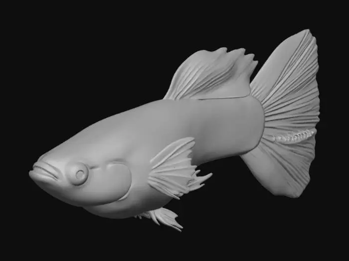 3D model for GoldenLace Halfmoon Guppy Male