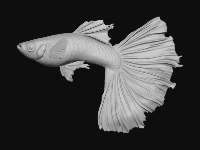 3D model for NeonBlue Halfmoon Guppy Male