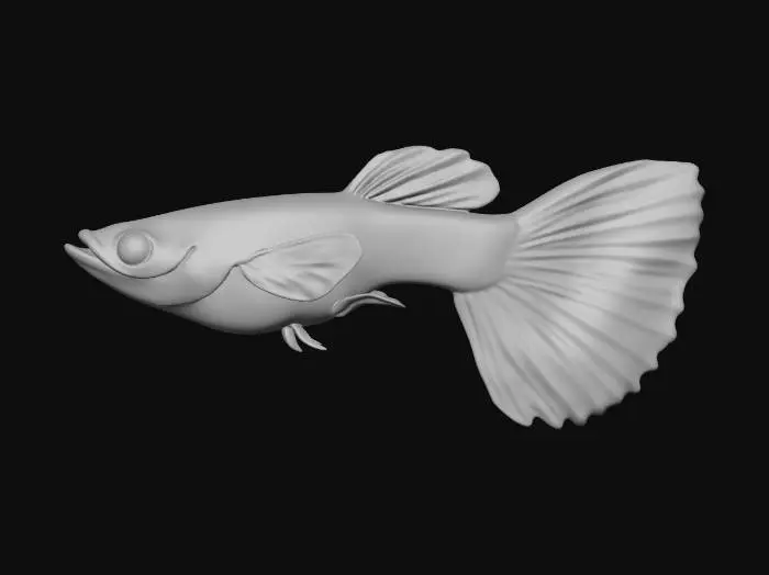 3D model for Leopard Guppy