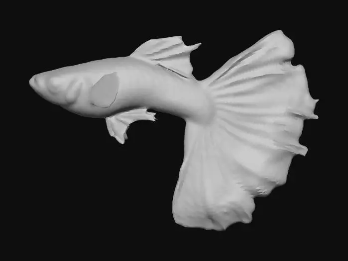 3D model for NeonBlue Halfmoon Guppy Male