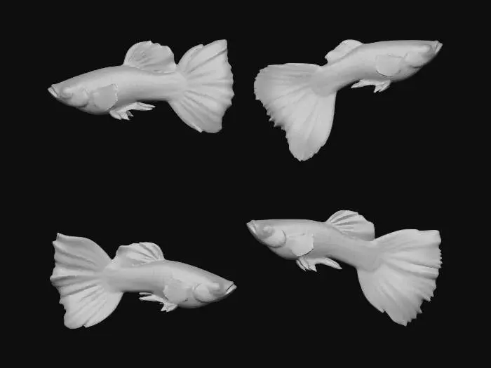 3D model for Guppies Galore