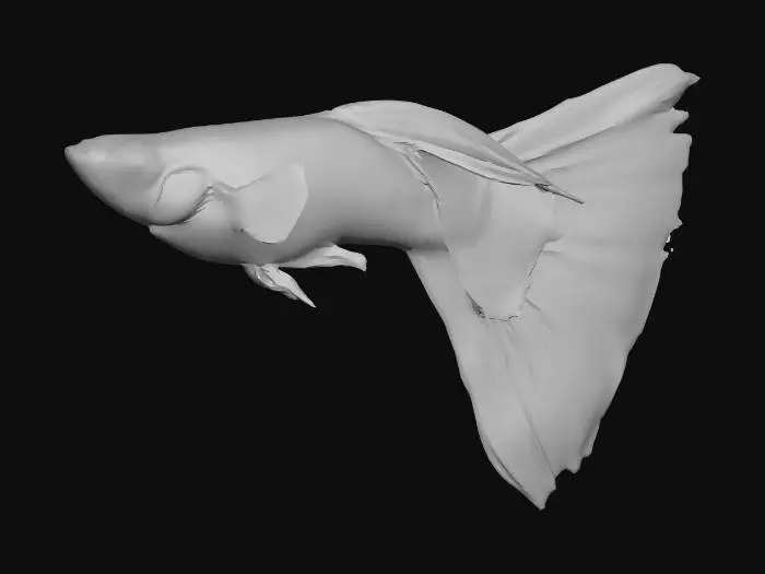 3D model for Real Red  Guppy