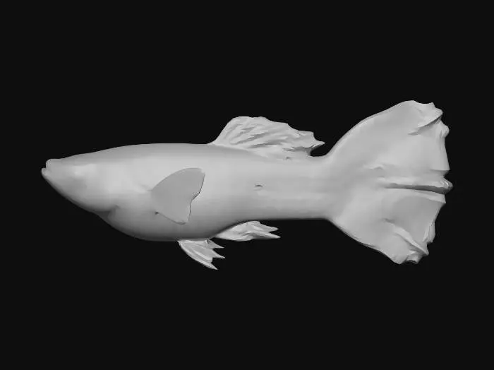 3D model for Blue Leopard Guppy