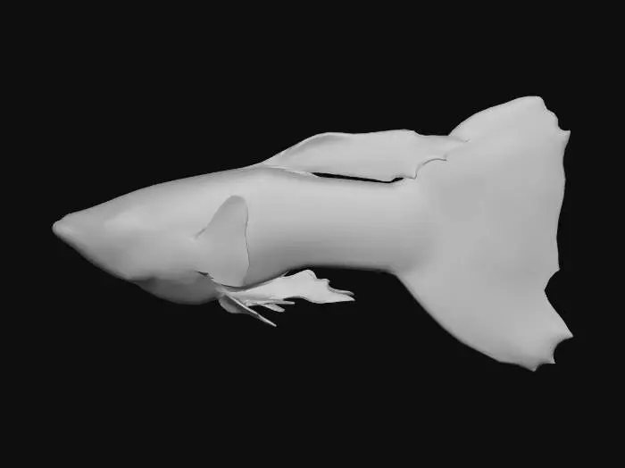 3D model for Santa Claus Guppy Male