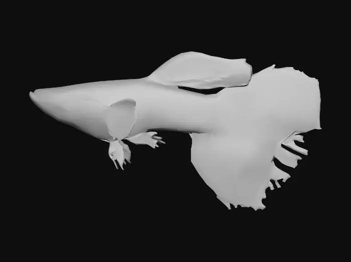 3D model for Blue Metal Dragon Guppy Male