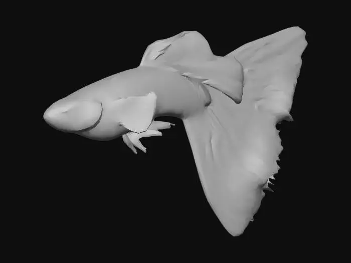 3D model for Mosaic Guppy Male