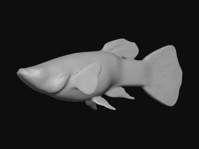 3D model for Mosaic Guppy Male