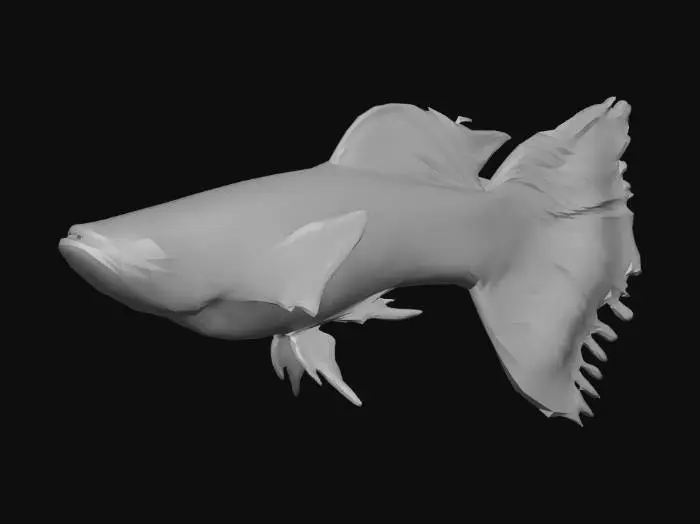 3D model for Mosaic Guppy Male