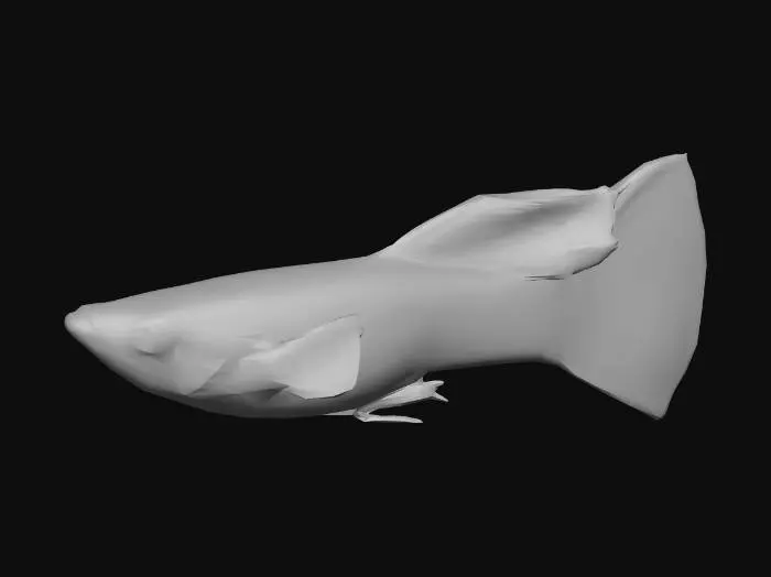 3D model for Red Cobra Guppy Male