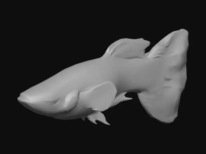 3D model for Dragon Head Guppy Male