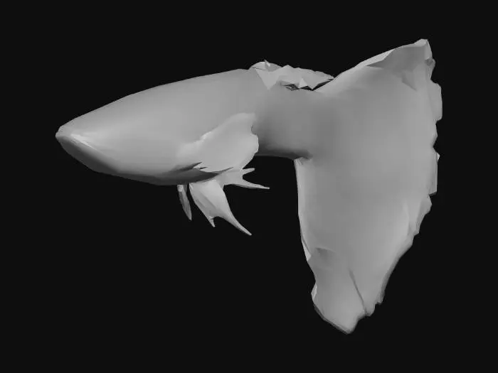 3D model for Green Guppy Male